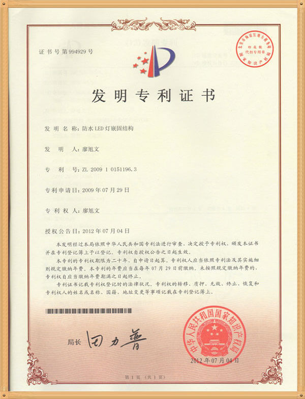 LED pixel module with China patent